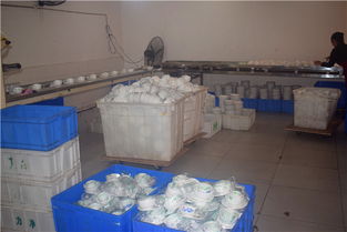 內江市東興區力凈消毒餐具配送中心 專業消毒，優質服務，守護健康