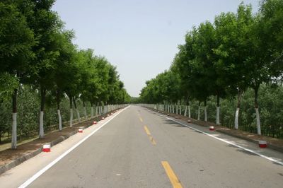 河南黃河網(wǎng) 樹木種植經(jīng)營(yíng)的發(fā)展現(xiàn)狀與前景